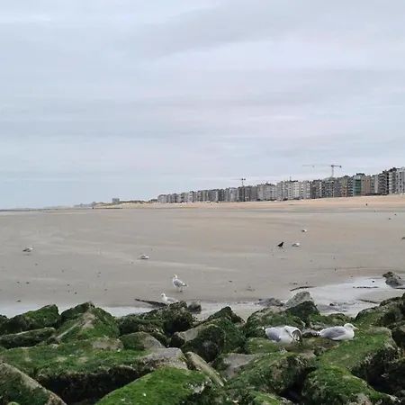 Stunning Sea View, Cleaning Included * Koksijde