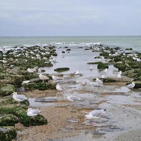 Stunning Sea View, Cleaning Included Apartament Koksijde