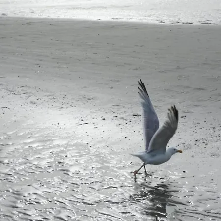 Stunning Sea View, Cleaning Included